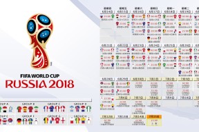 体育爱好者的新乐园：科技如何改变体验