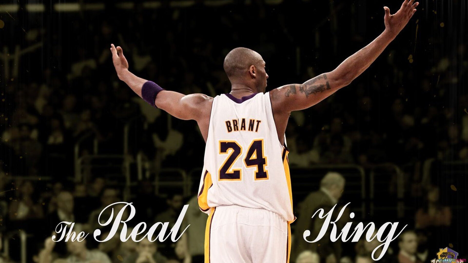 爱游戏中国官方网站平台-“彼得森的非凡表现助南非羚羊队破纪录创佳绩”